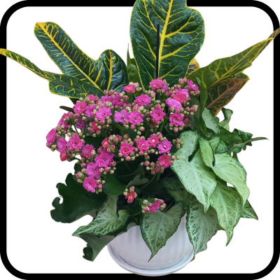 קוקטייל פורחים בינוני בכלי קרמיקה