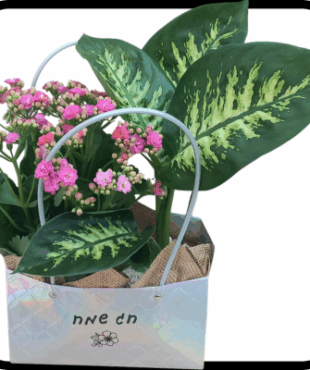 תיק אופנתי חג שמח