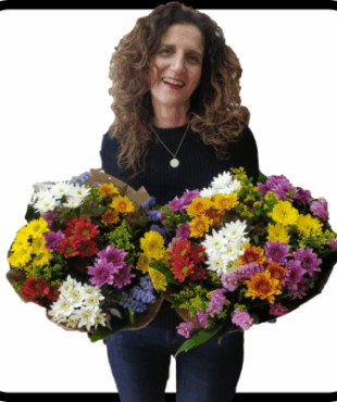 מייזר אביב