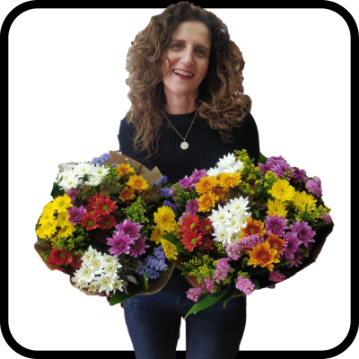 מייזר אביב