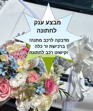 מדבקה לרכב חתן כלה - מתנה